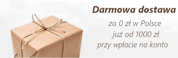 Top Art Galeria Sztuki Wilczyce oferuje dostawę gratis na terenie PL przy zamówieniu o wartości 1000 zł przy wpłacie na konto